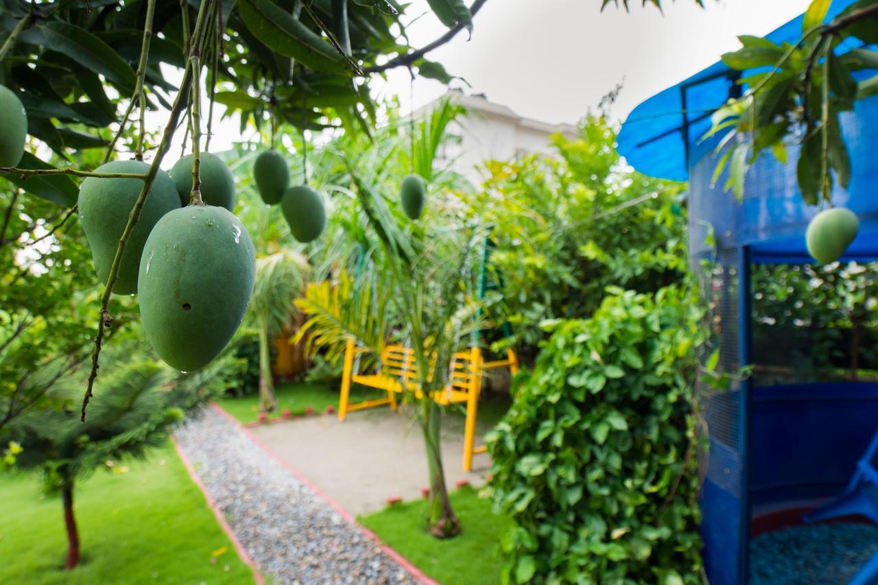 Galaxy Guest House Bhairāhawā Eksteriør billede